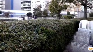 欧美成人韩一区⭕❌欧美精品A片XXX⭕❌欧美性猛交XXXX乱大交极品-无码av电影在线观看不卡
